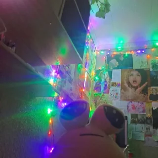 🎆