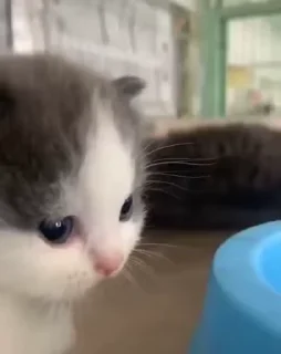 😭