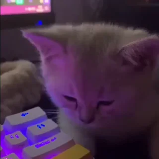 🤩