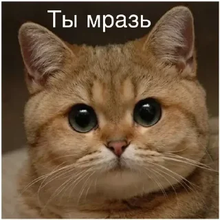 😑