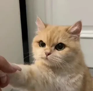 🤨