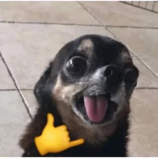 🤙