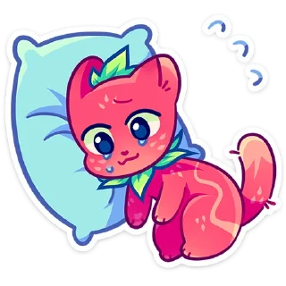 💤