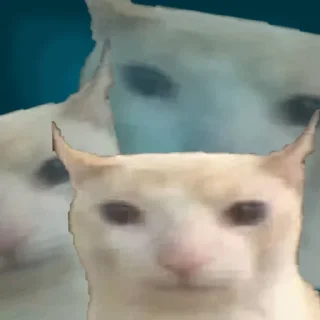 🤿