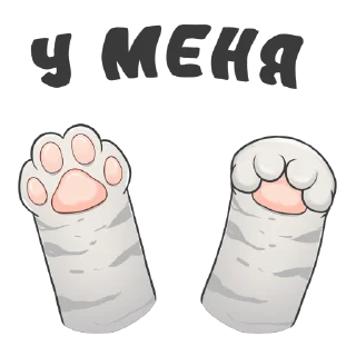 🐾