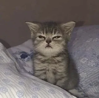 🤍