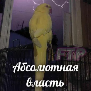 🧐