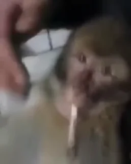 🚬