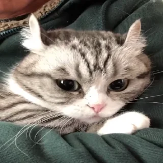 😱