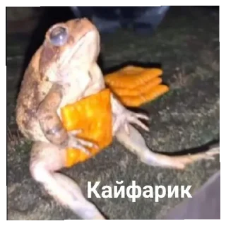 😋