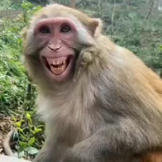 😆