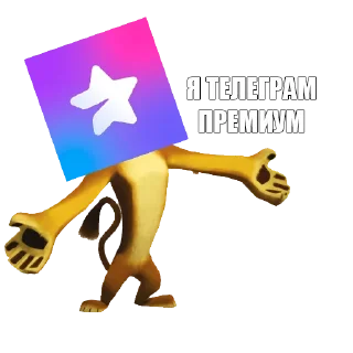 ⭐️