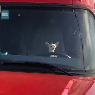 😎