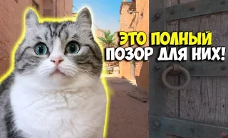 🤣