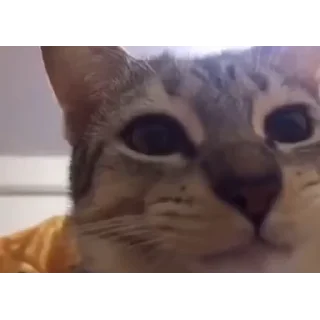 🤨