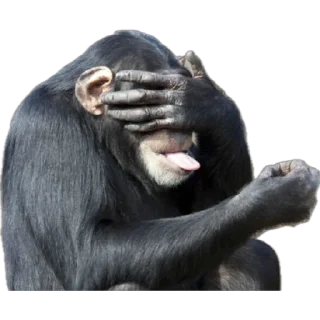 🙈