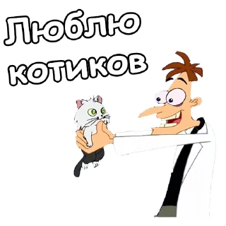 😼
