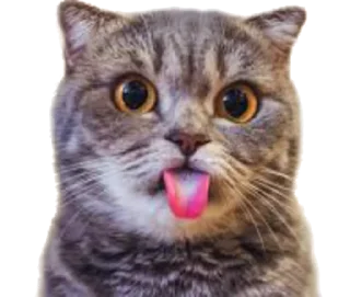 😛