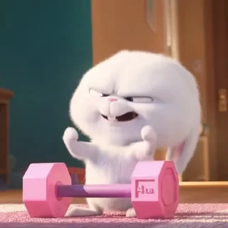 🐰