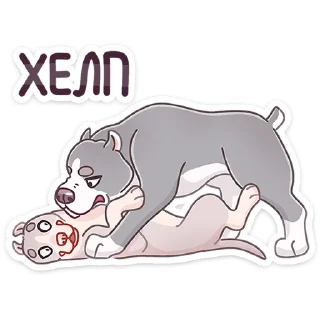 🐶