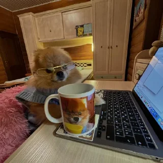 🤓