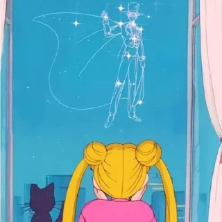 ✨