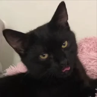 😛