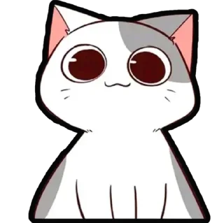 🐈
