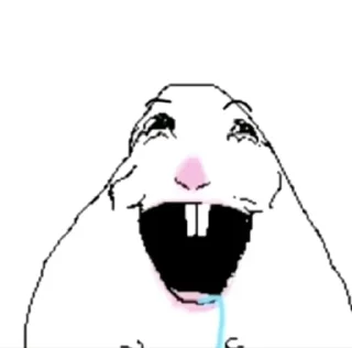 hamster