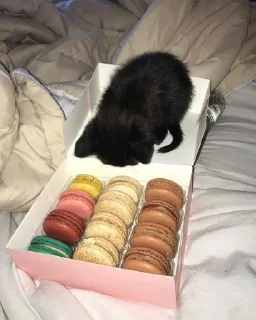 🍔
