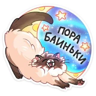 😴