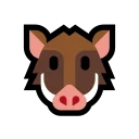 🐗