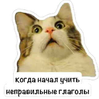 🫥