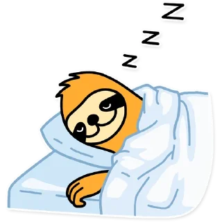 😴