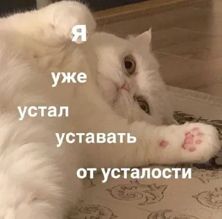 🥱