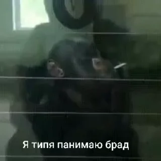 😍