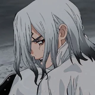 😼