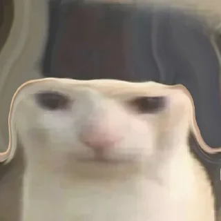 👌