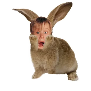 😱
