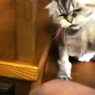 🤬