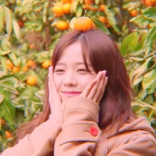 ʚ @stuffiespie as jisoo kim. ✰