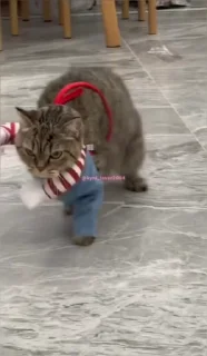🔪