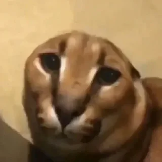 🙁