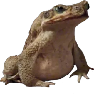 🤨