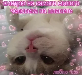 💗