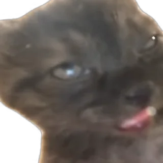 🥱