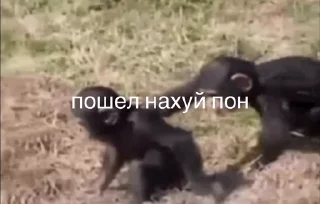 🤬