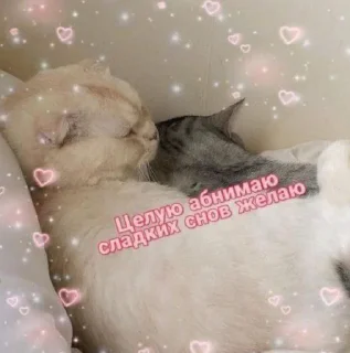 😘