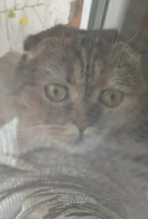 👀