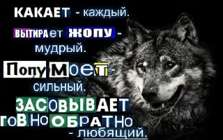 🐺